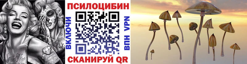магазин продажи наркотиков  Балаково  Псилоцибиновые грибы мухоморы 