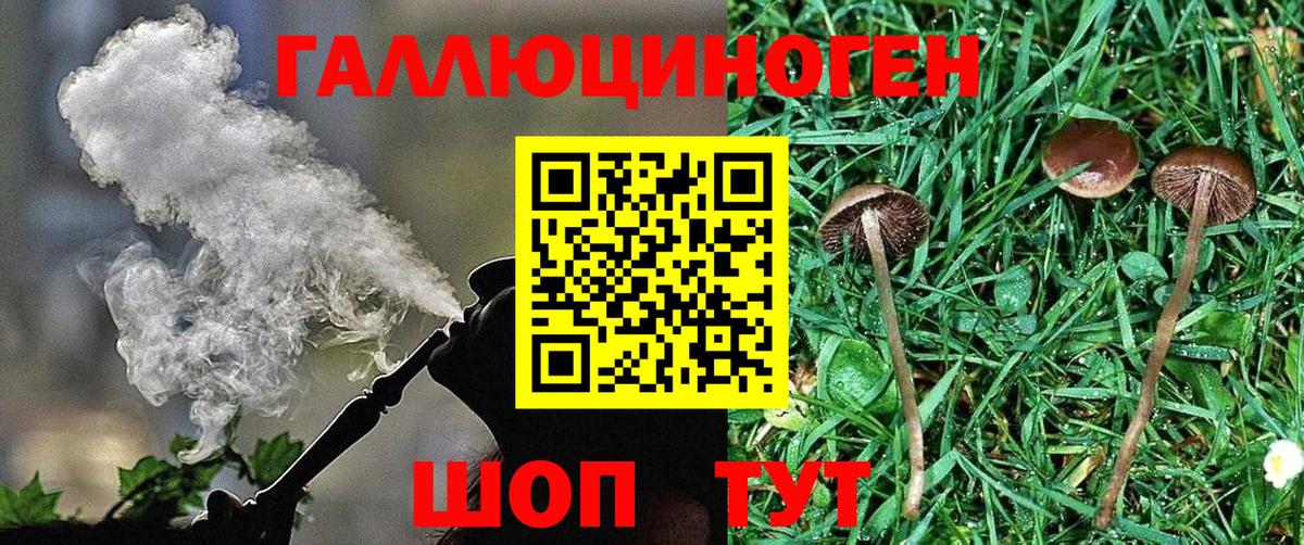 продажа наркотиков  Псилоцибиновые грибы ЛСД  Вход с VPN  Балаково 